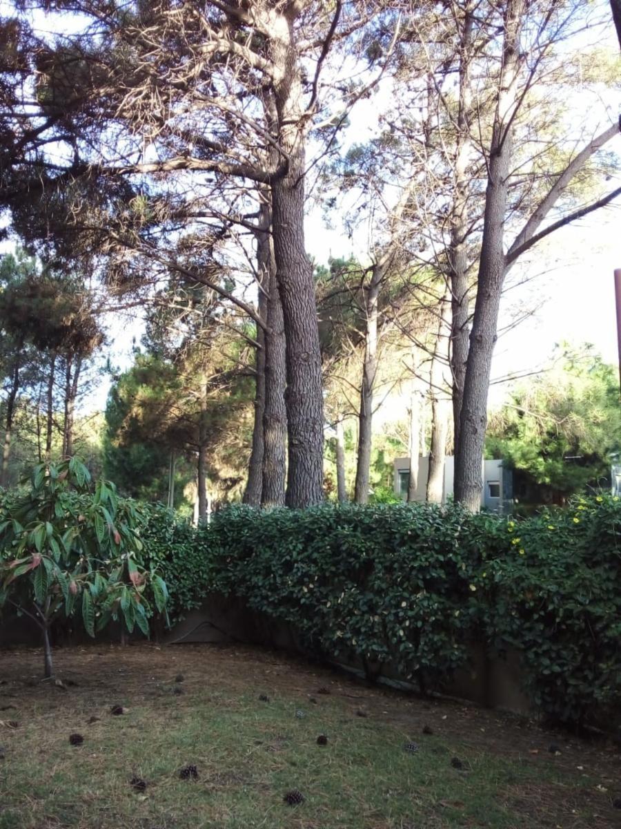 Los Zorzales 706 · Monte Hermoso — foto 4