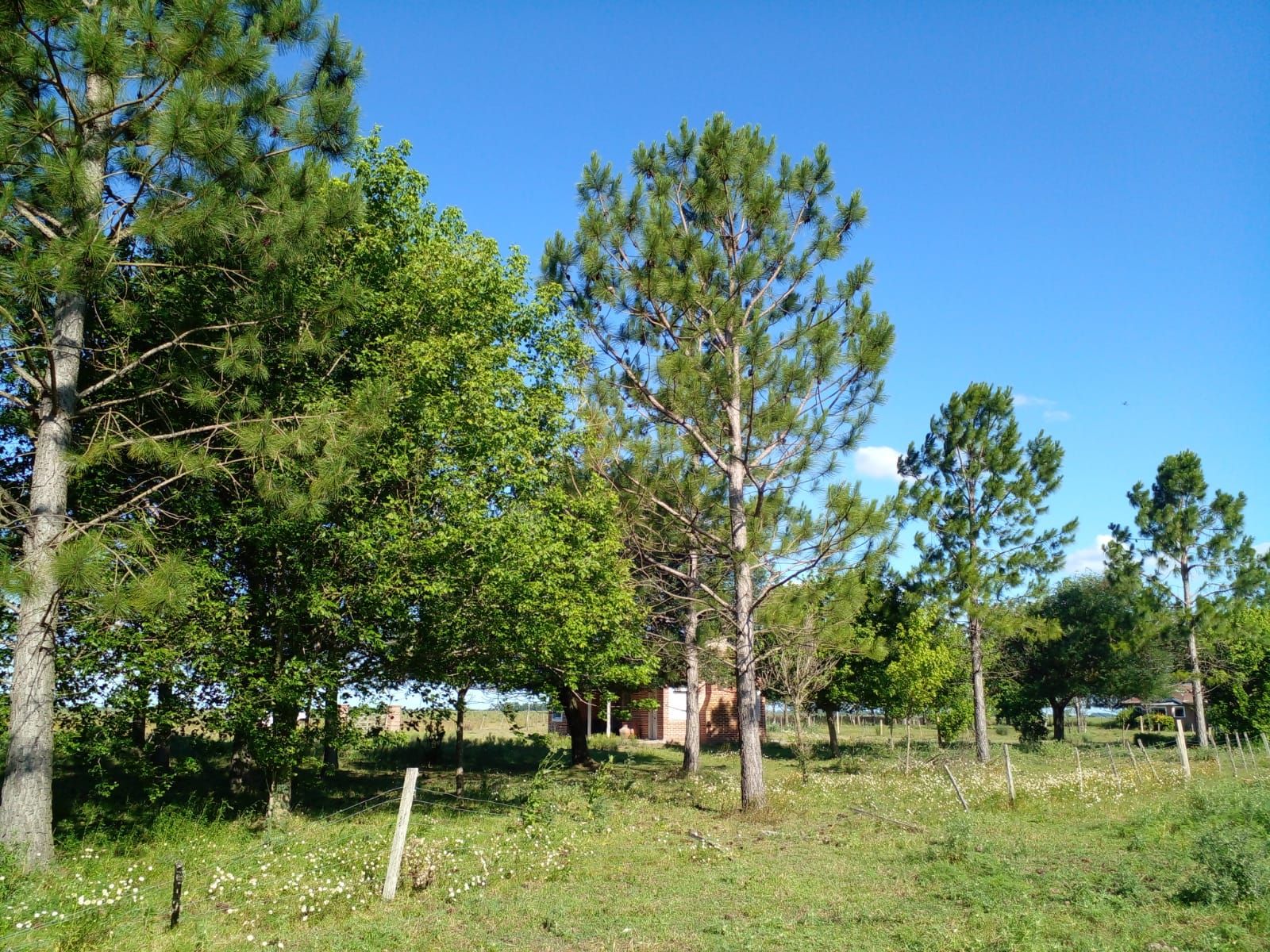 Ruta 215 · General Paz — foto 8