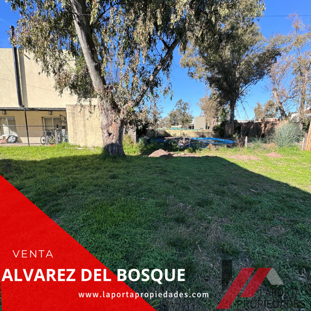 LOTE EN ALVAREZ DEL BOSQUE