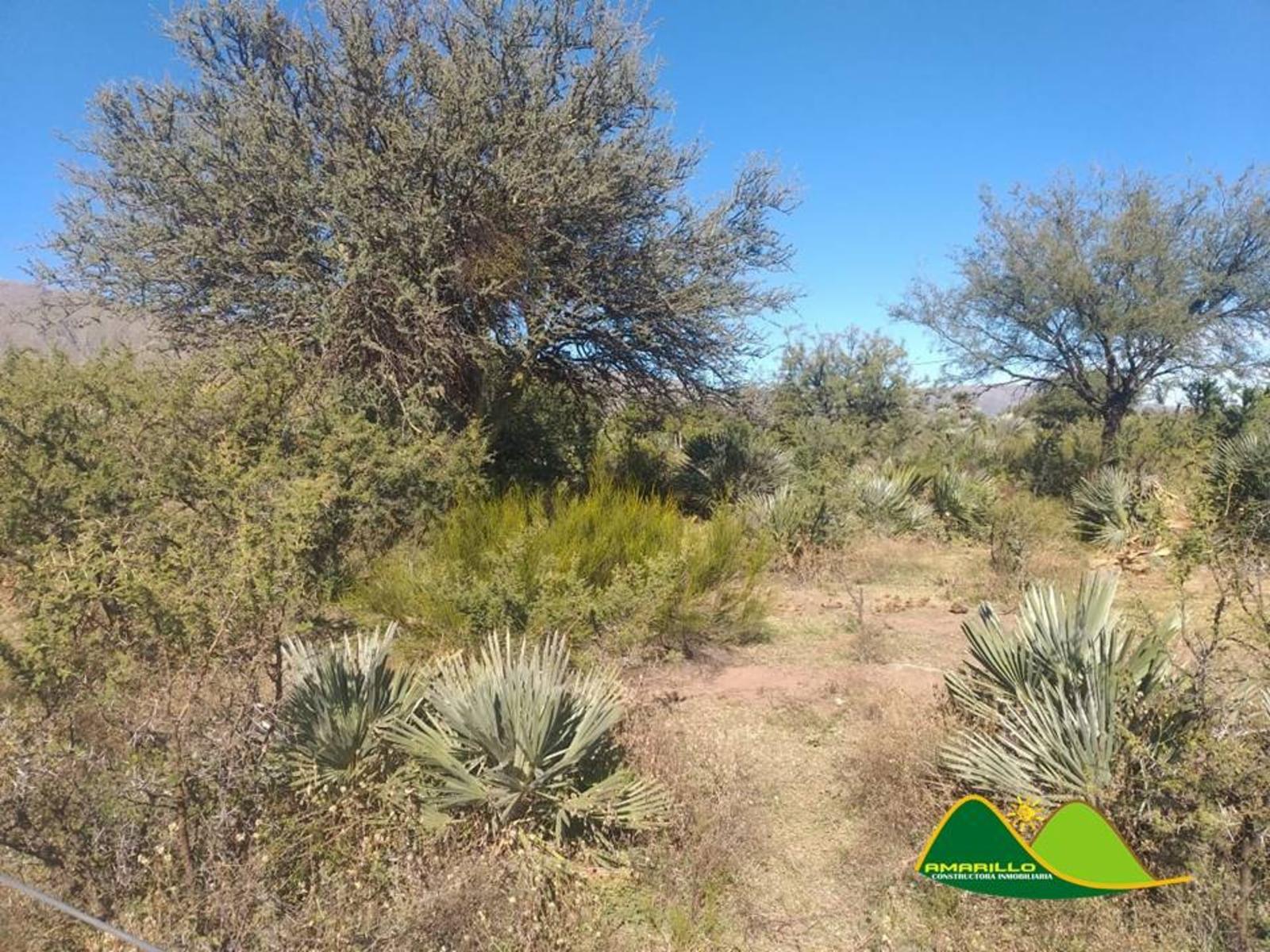 EL RECUERDO · Chacabuco — foto 3