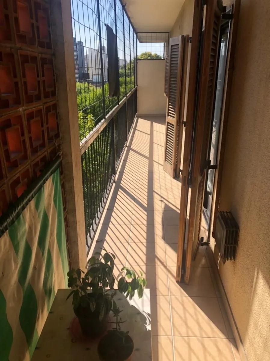 Rafaela 3700 · Floresta — foto 8