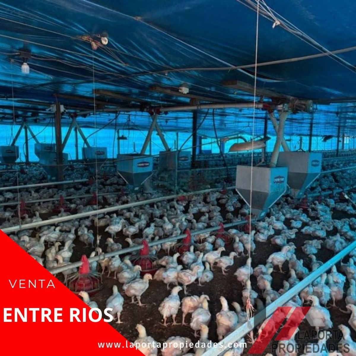 TALITA · Uruguay — foto 6