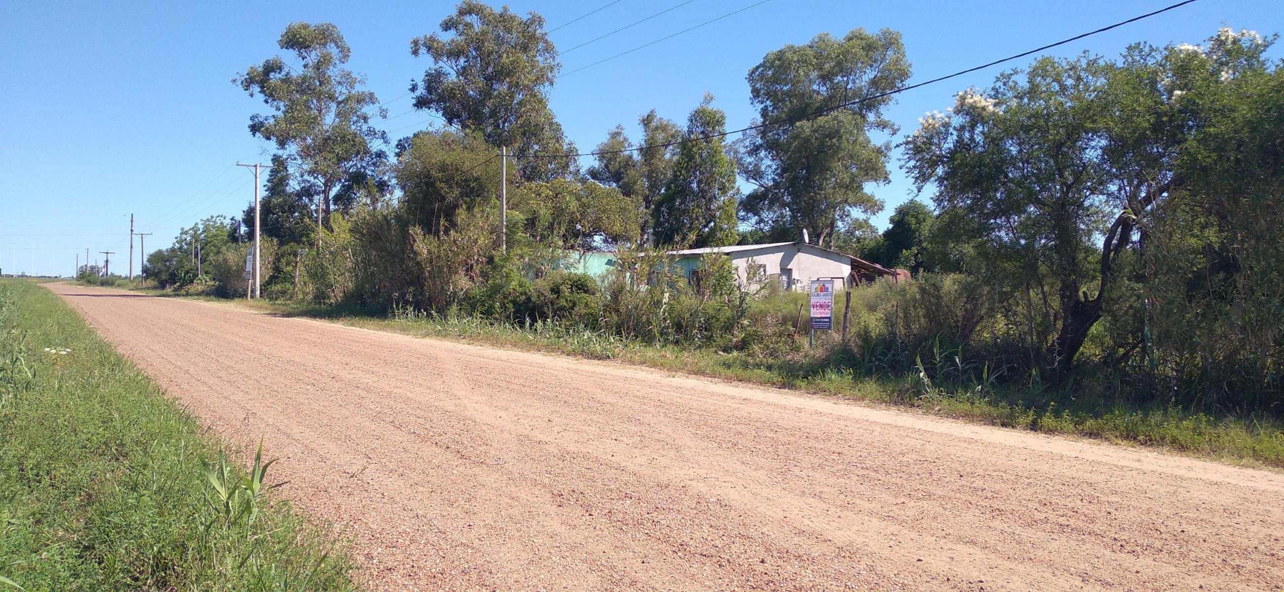 HECTAREA SOBRE COLECTORA FENTE A AUTOVIA 14 ( SAN JOSE)