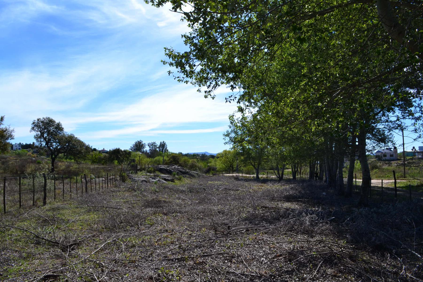 LOTES CAMINO A VILLA FLOR SERRANA