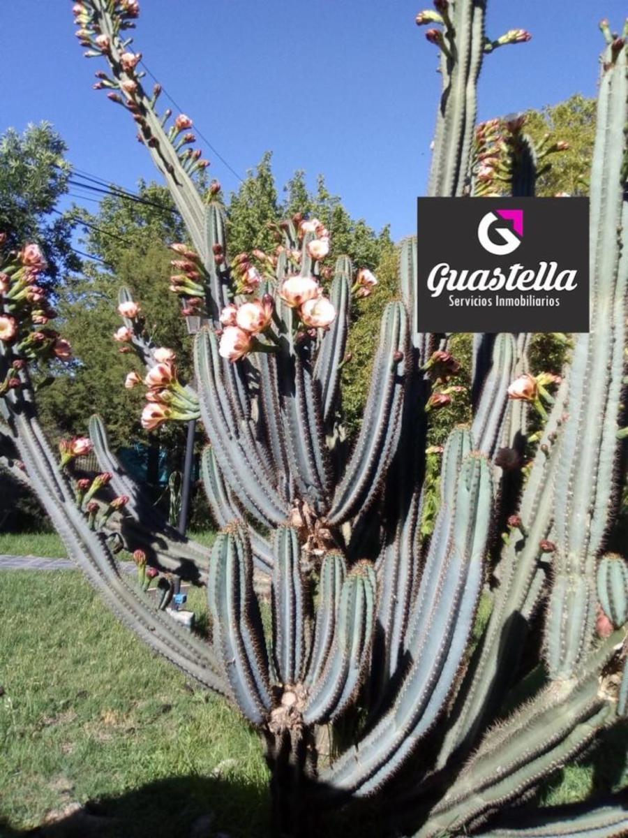 Sarate a 10 cuadras del centro · Punilla — foto 6