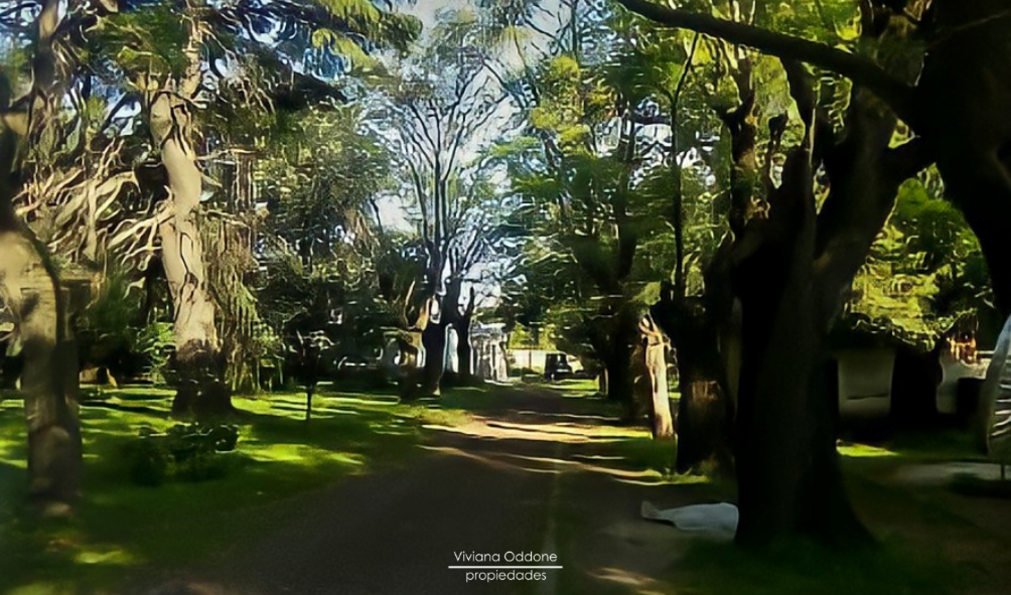 Ruta Prov.21 esquina París · Merlo — foto 7