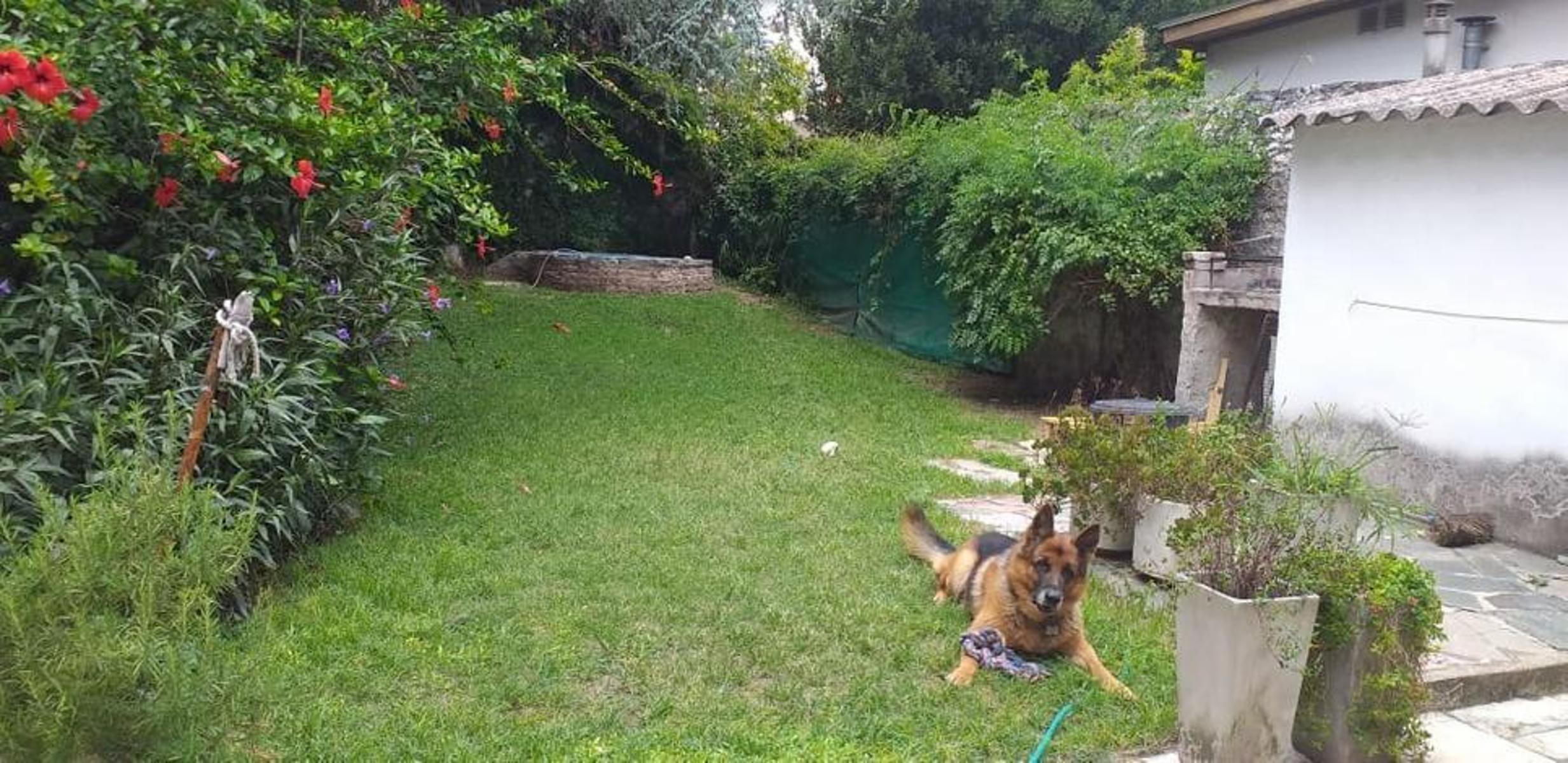 JEAN JAURES 2736 · San Martín — foto 19