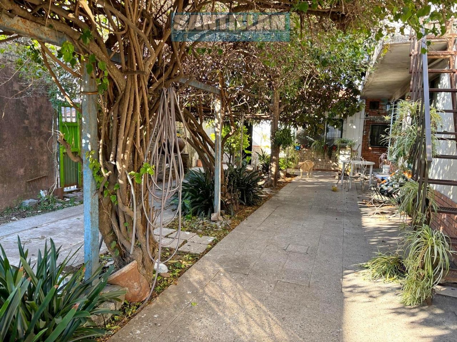 Mendez de Andes 2490 · La Matanza — foto 5