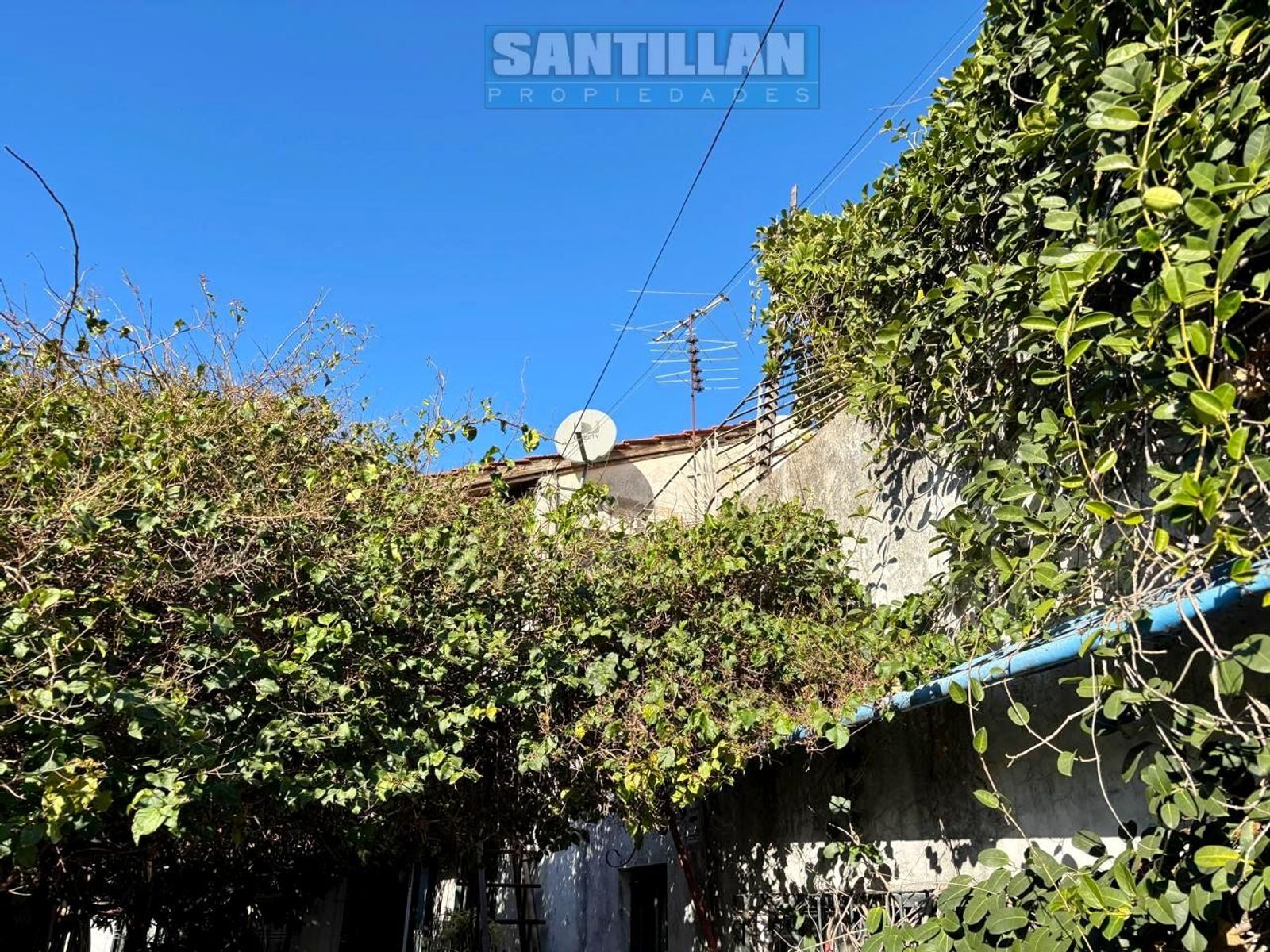 Mendez de Andes 2490 · La Matanza — foto 7