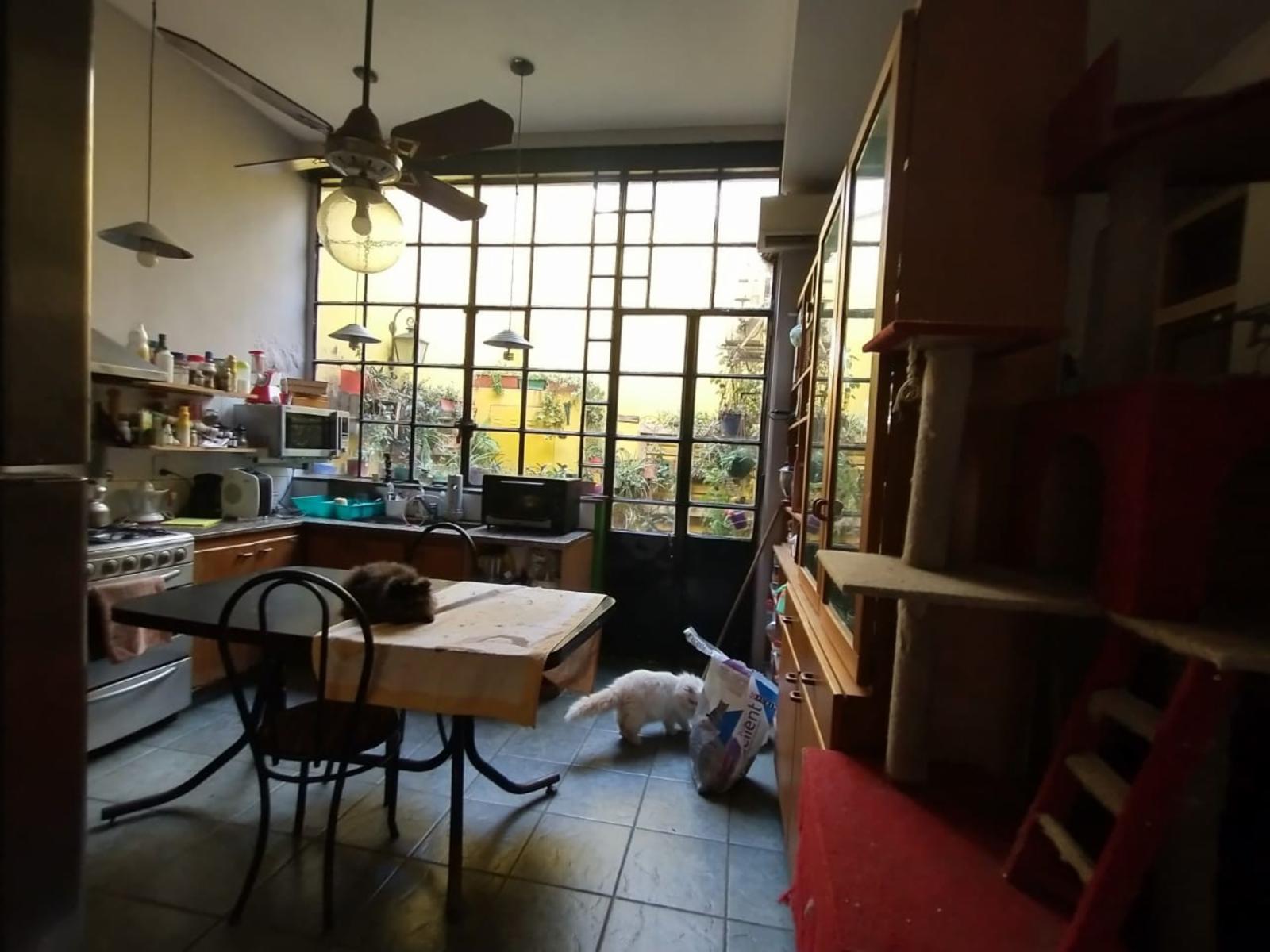 Casa en venta mas local en el centro de Bahia Blanca