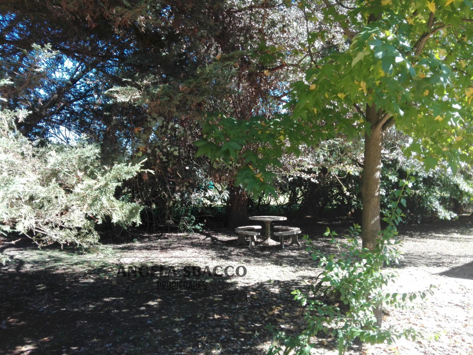 Malvon · Exaltacion De La Cruz — foto 6