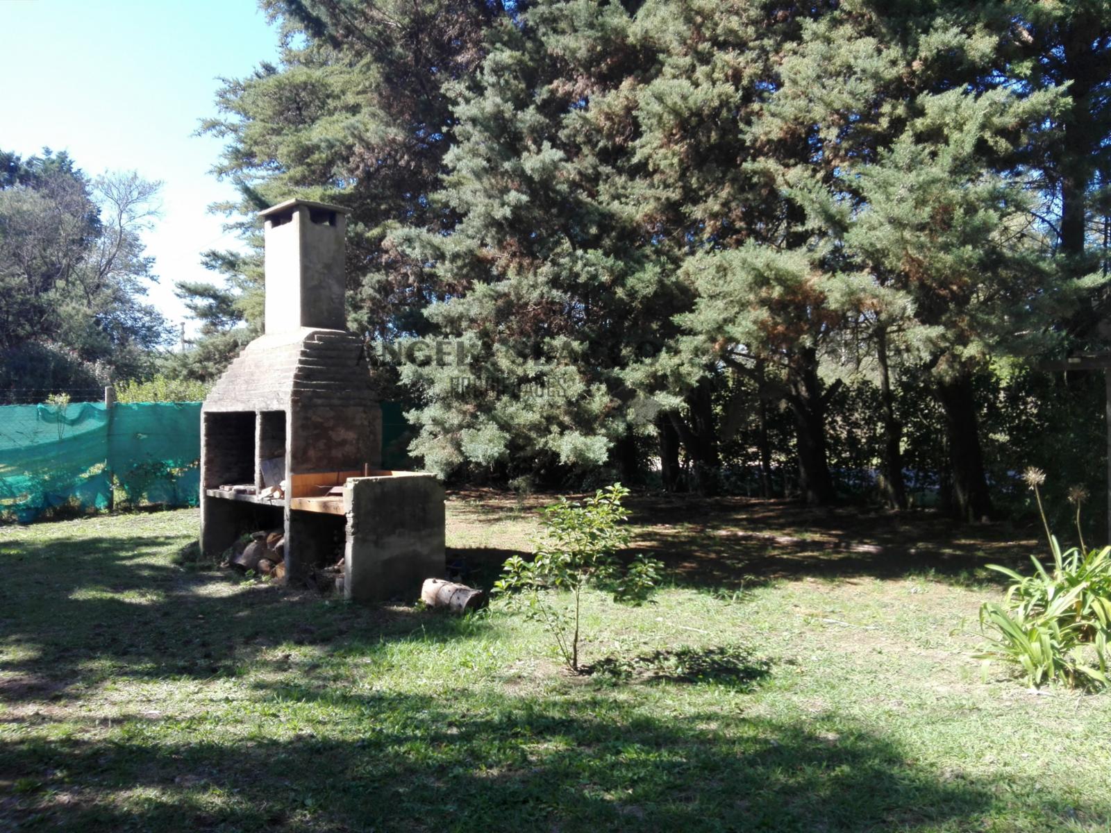 Malvon · Exaltacion De La Cruz — foto 7