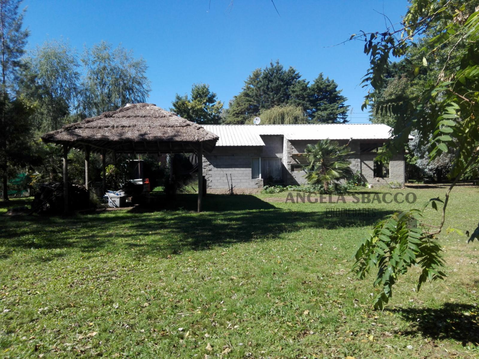 Malvon · Exaltacion De La Cruz — foto 9