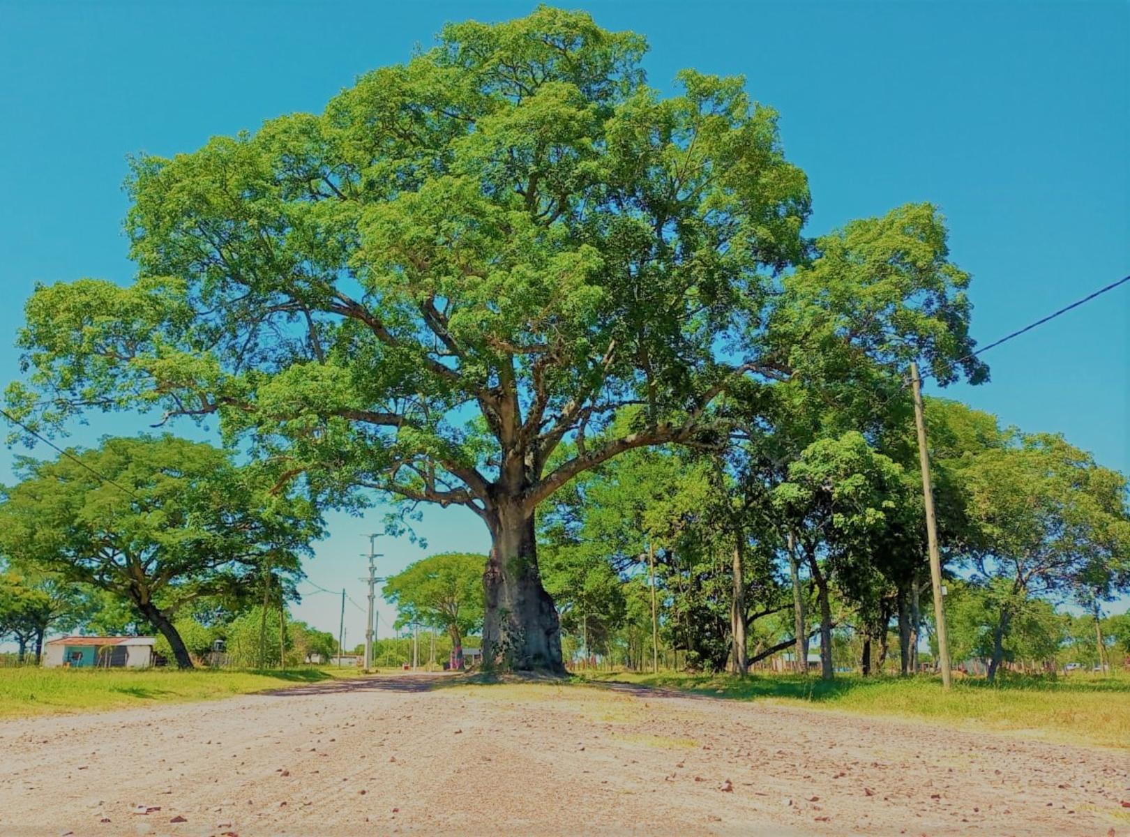 Ruta 5 · Capital — foto 10