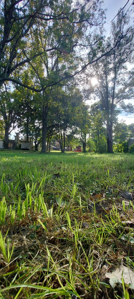 Primera Colonia Agrícola Militar las Conchas S/N · Paraná — foto 4