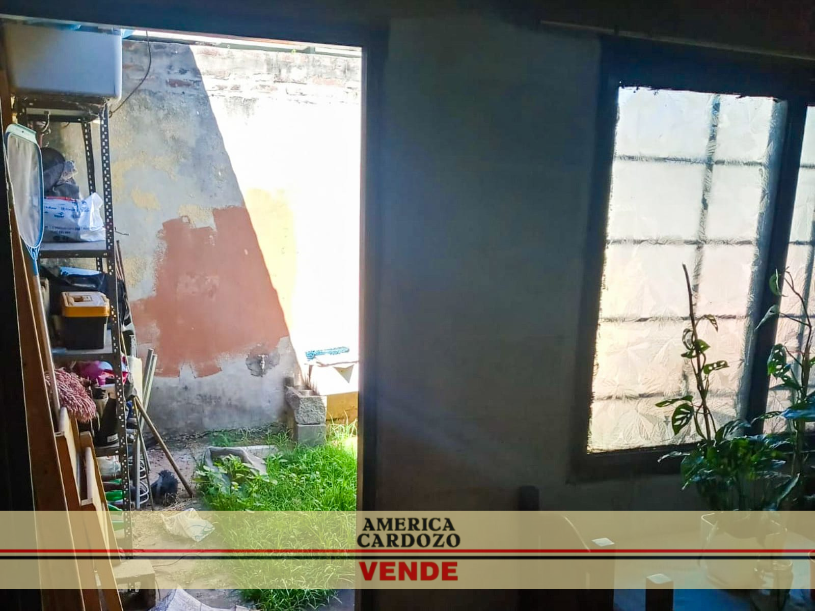 LEBENSOHN 2046 · Moreno — foto 20