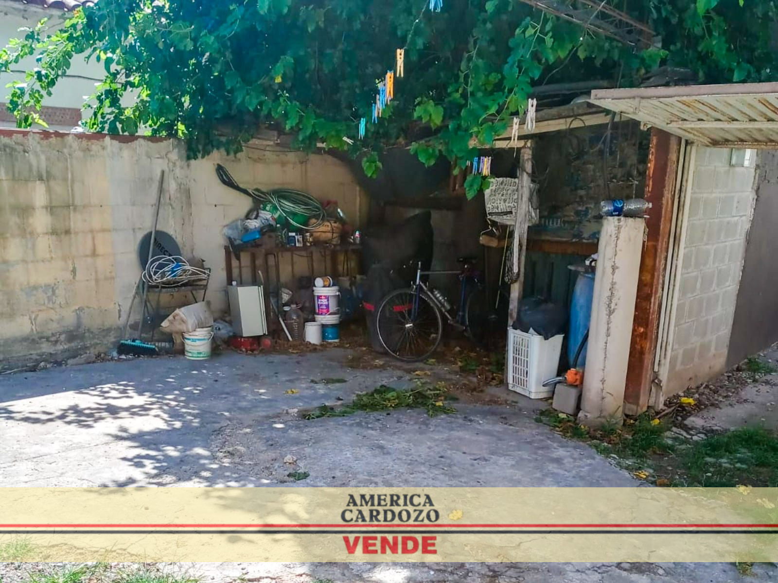 LEBENSOHN 2046 · Moreno — foto 6