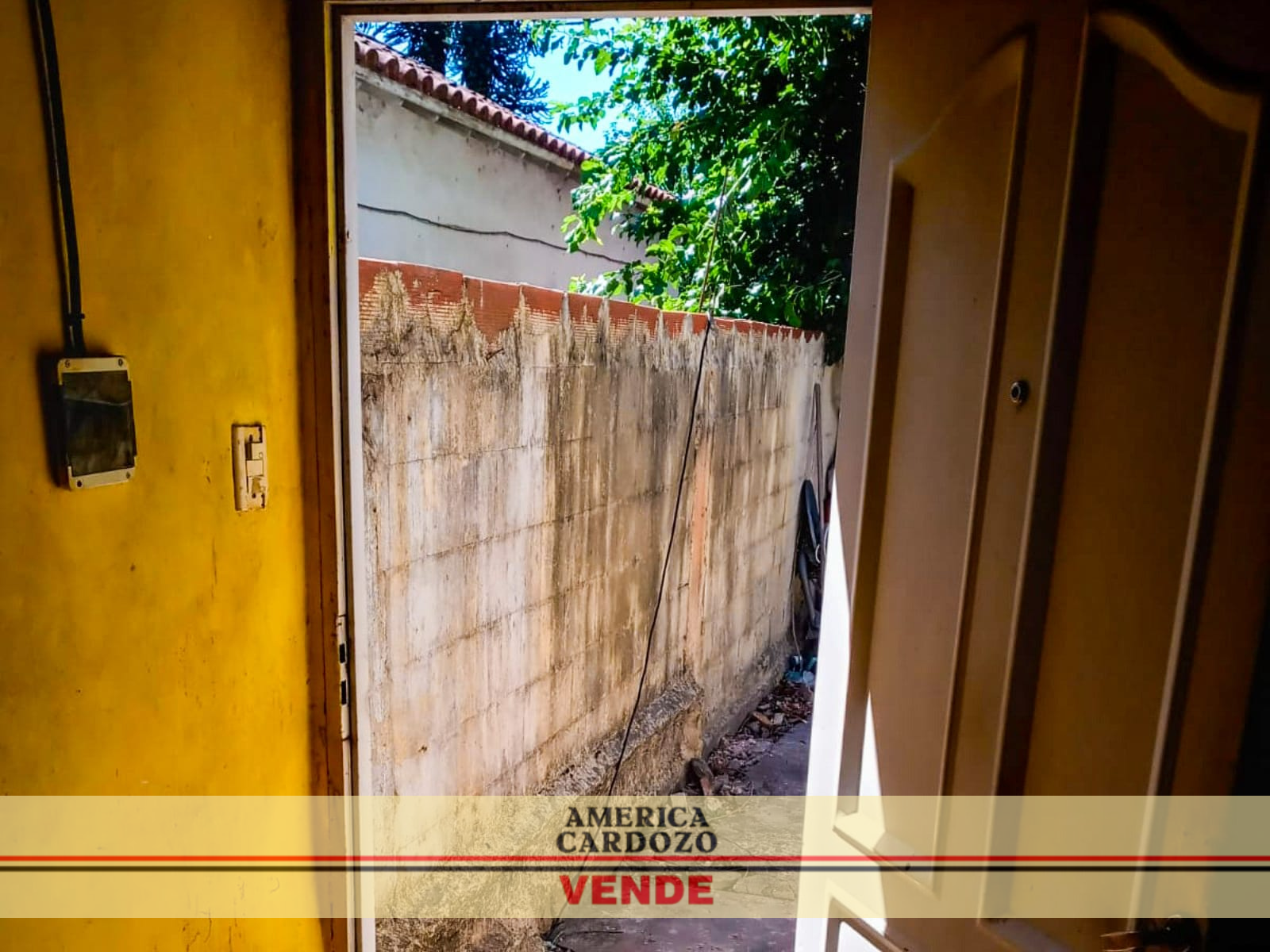 LEBENSOHN 2046 · Moreno — foto 8