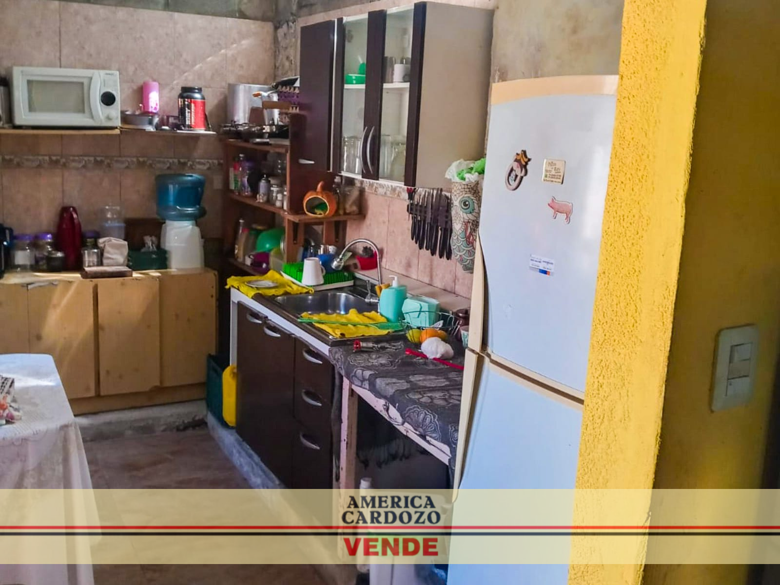 LEBENSOHN 2046 · Moreno — foto 10