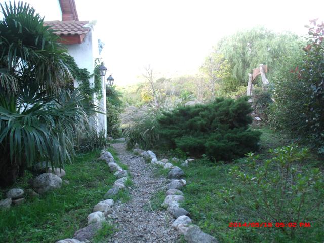 Av. Dos Venados. · Junín — foto 25