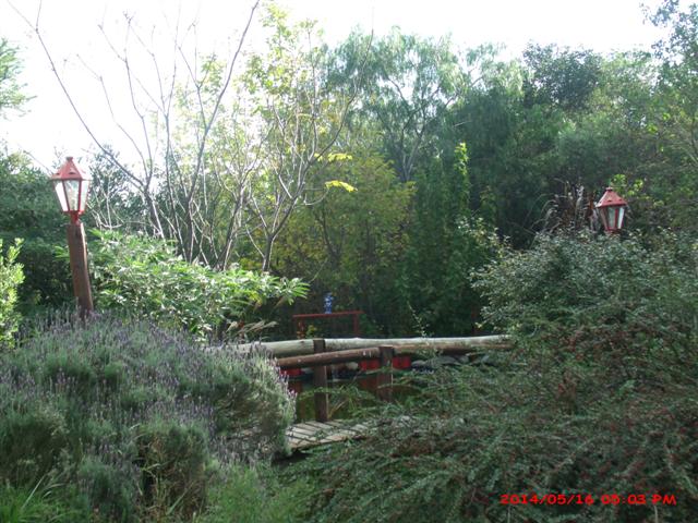 Av. Dos Venados. · Junín — foto 26