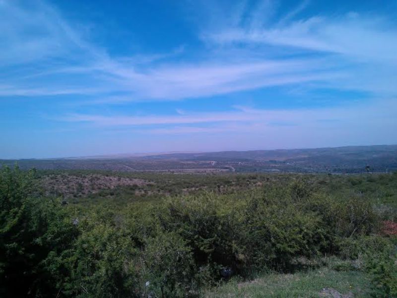 CRISANTEMO · Punilla — foto 11