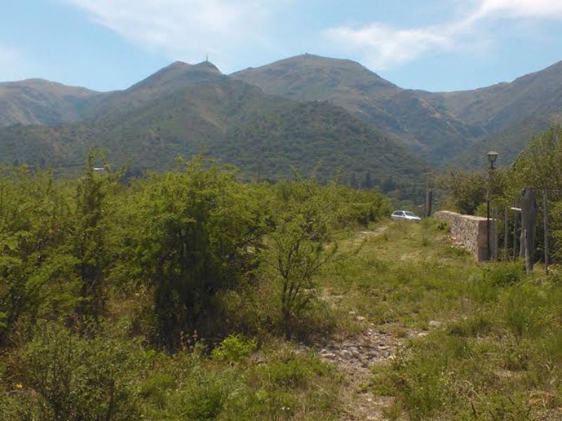 CRISANTEMO · Punilla — foto 3