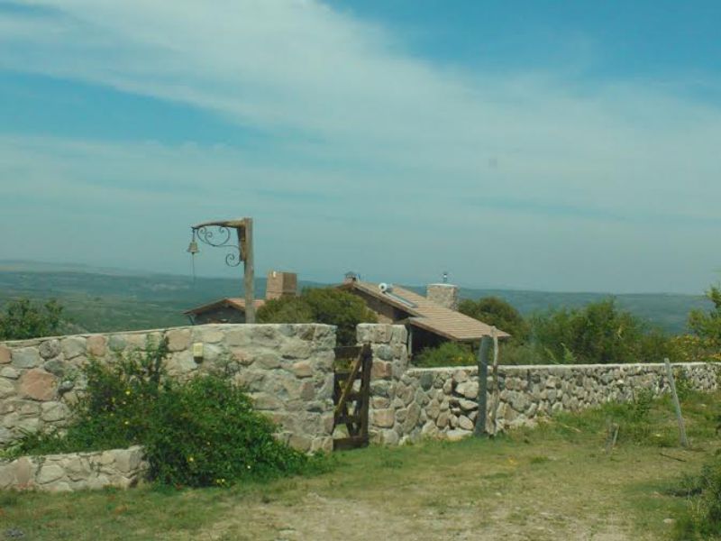 CRISANTEMO · Punilla — foto 4
