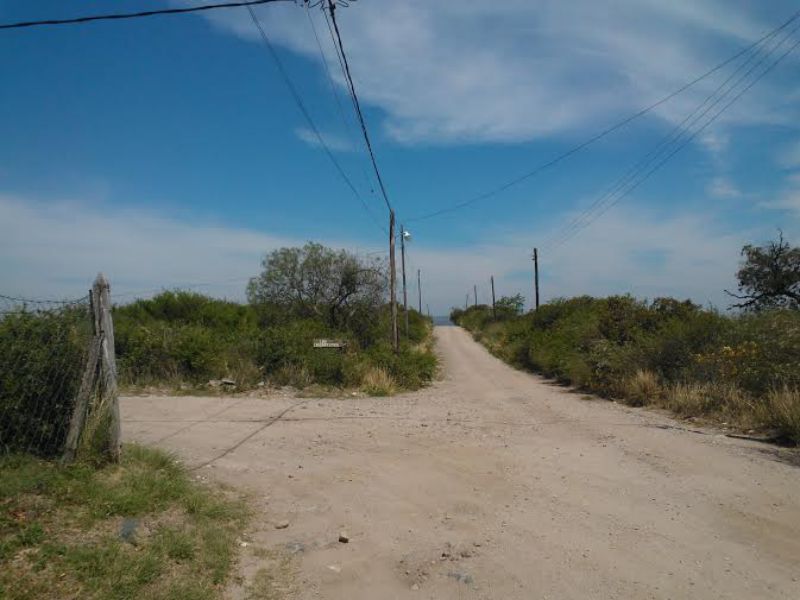 CRISANTEMO · Punilla — foto 5