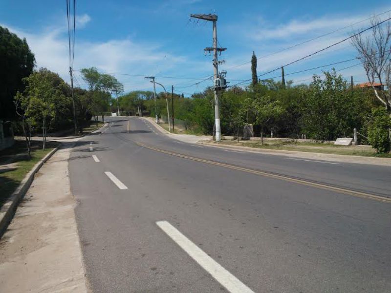 CRISANTEMO · Punilla — foto 6