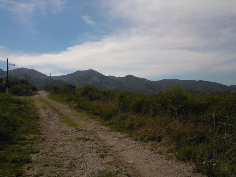 CRISANTEMO · Punilla — foto 8