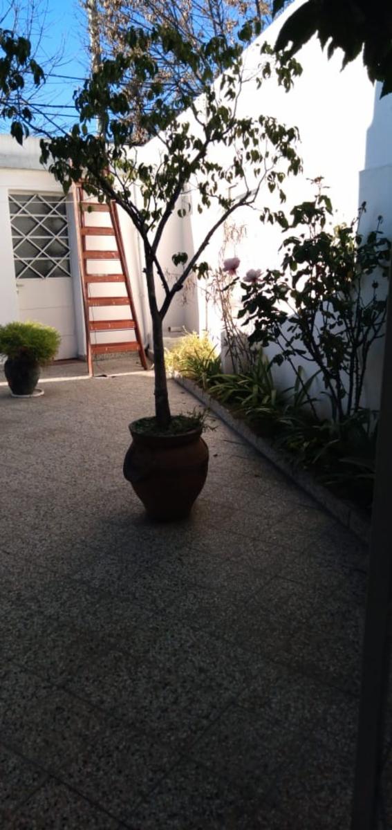 Diagona de Mayo al 2700 · Hurlingham — foto 6