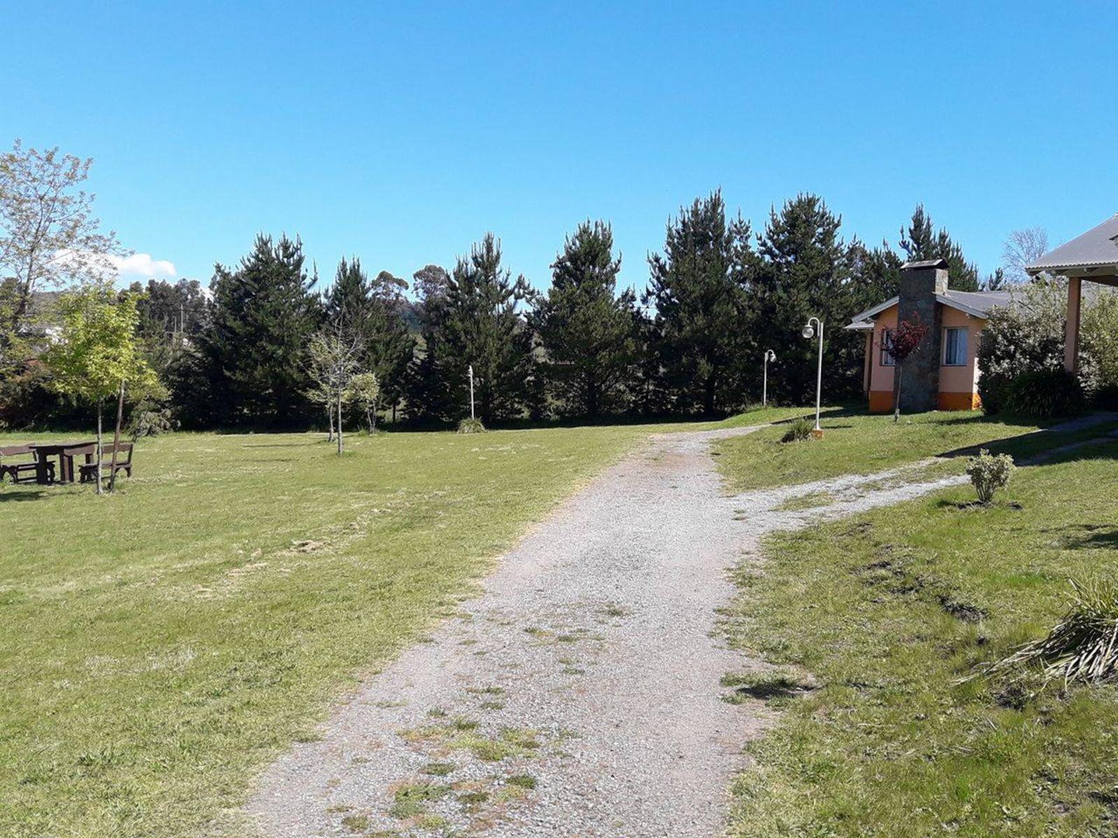 DON BOSCO Y ALEMANIA · Tandil — foto 5