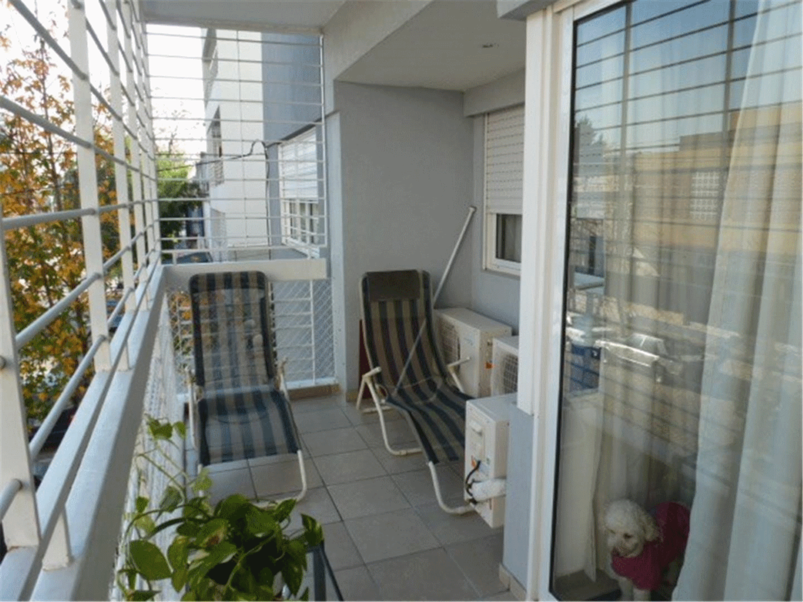 Espinosa 1100 · Villa General Mitre — foto 5