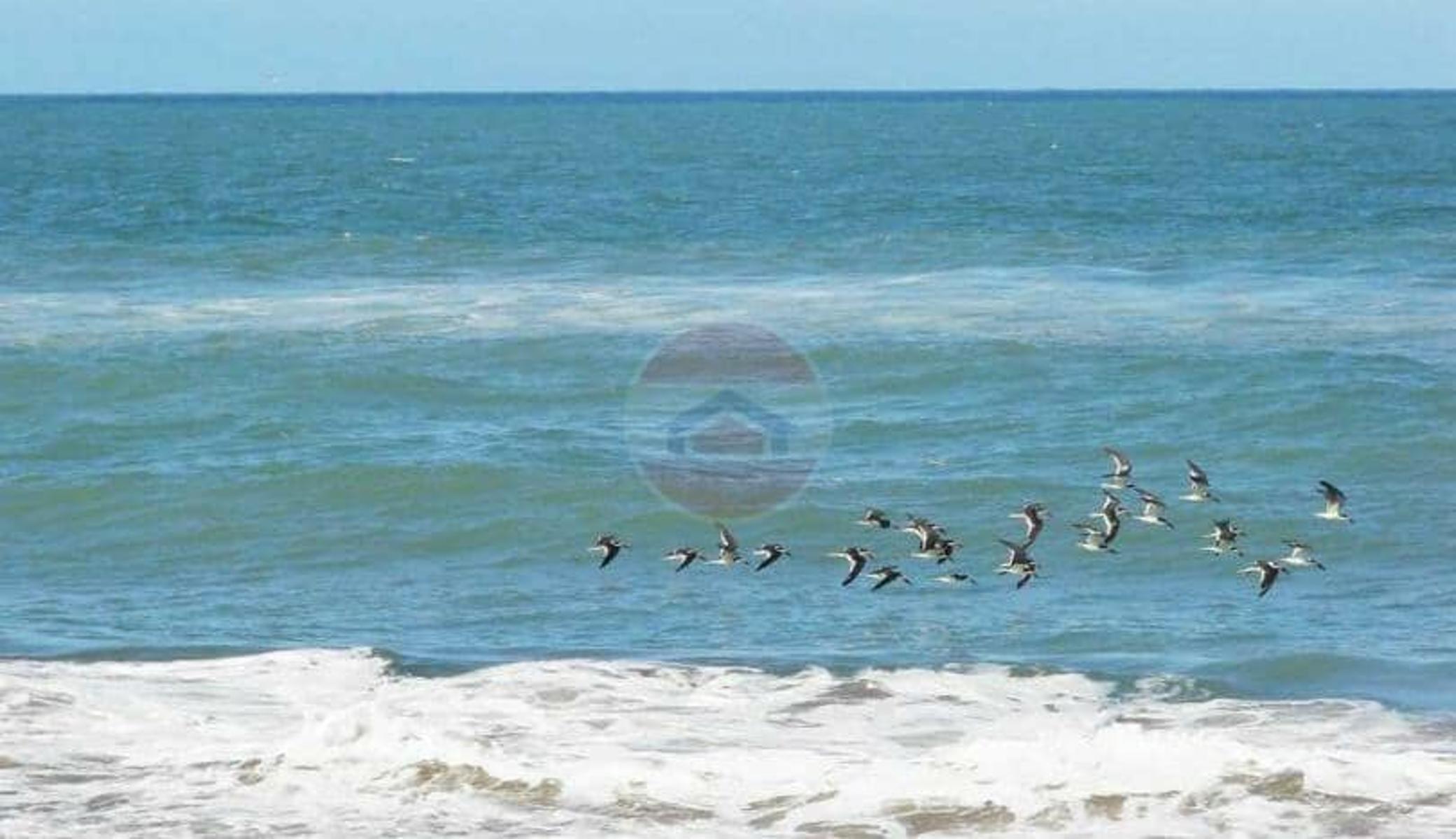 Villa Gesell Ruta Nº 11 – Km 427 · Villa Gesell — foto 11