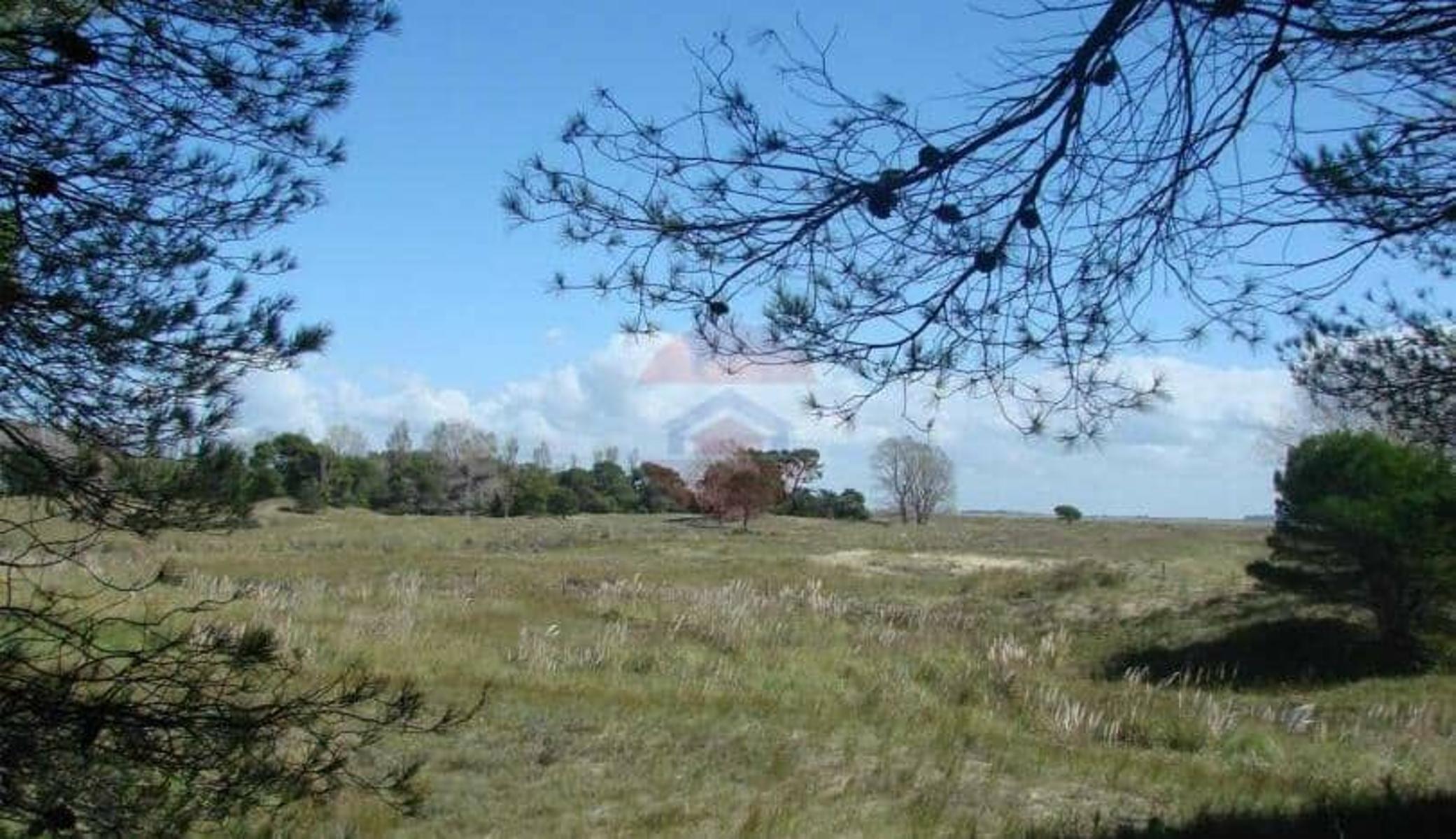 Villa Gesell Ruta Nº 11 – Km 427 · Villa Gesell — foto 5