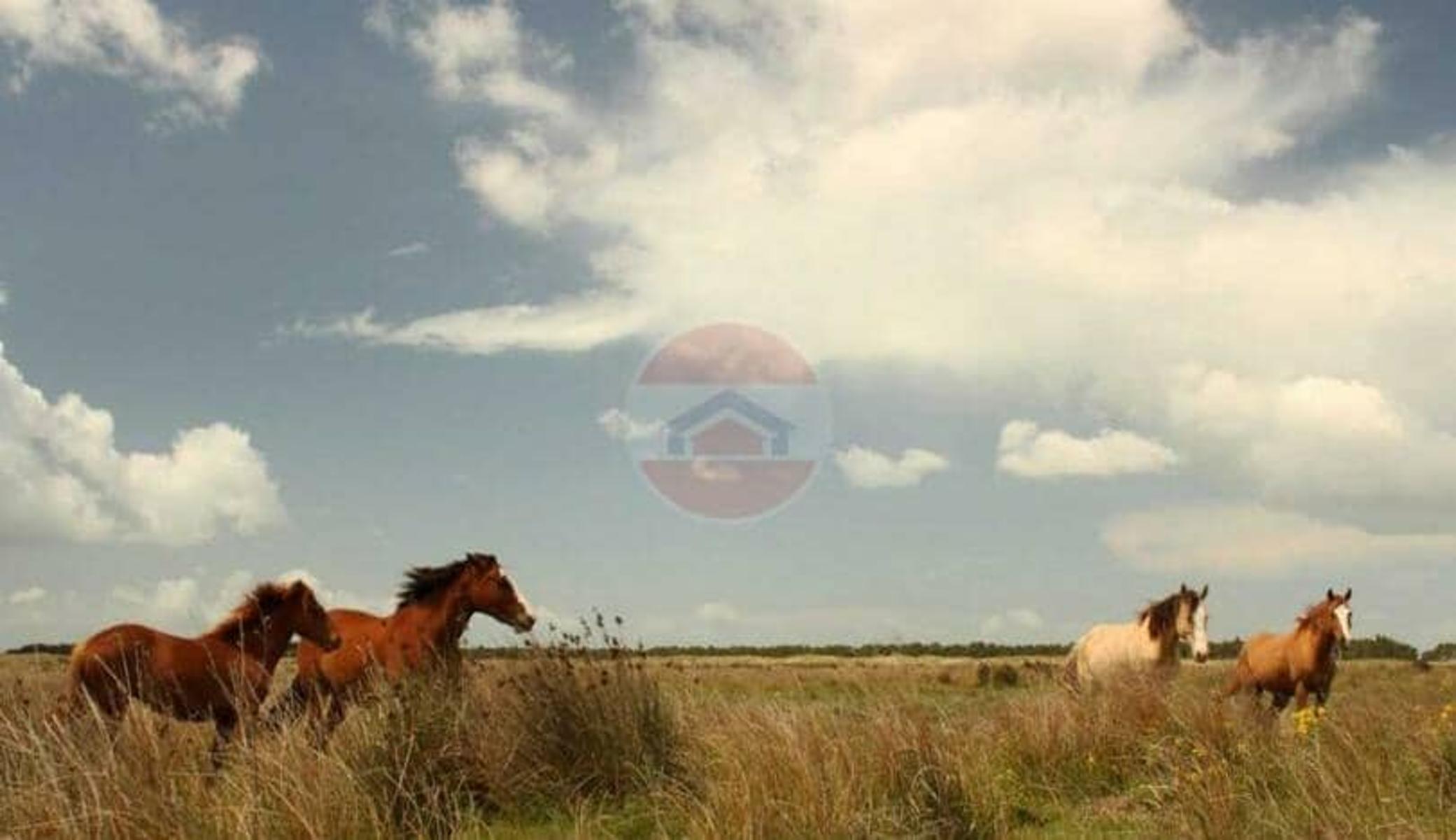 Villa Gesell Ruta Nº 11 – Km 427 · Villa Gesell — foto 8
