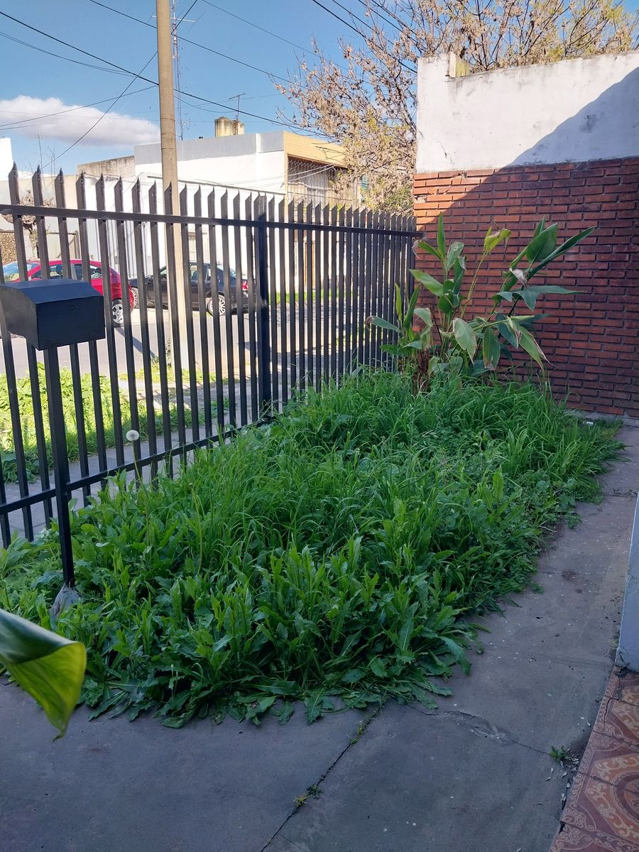 Pirovano 2200 · La Matanza — foto 11