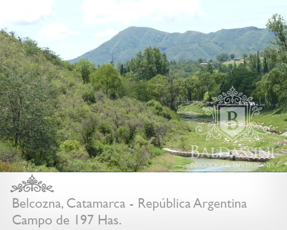 CAMPO DE 197 HAS. EN VILLA BALCOZNA - CATAMARCA A DESARROLLAR SOBRE RUTA 9 - OPORTUNIDAD DE EMPRENDIMIENTO TURÍSTICO - AGRÍCOLA O GANADERO - U$S 2.500.-