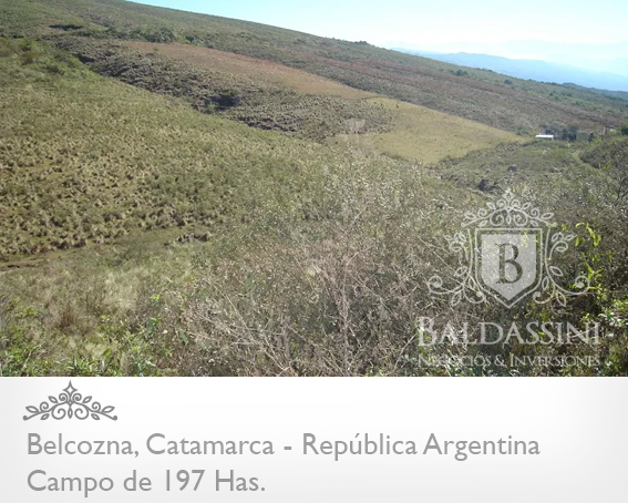 CAMPO DE 197 HAS SOBRE RUTA 9 · Paclín — foto 3