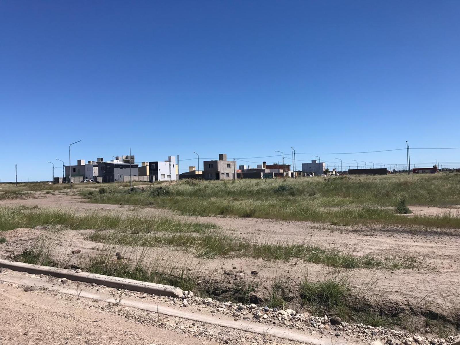 RUTA PROV 51 · Adolfo Alsina — foto 3