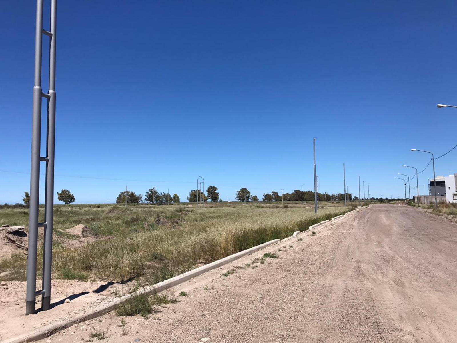 RUTA PROV 51 · Adolfo Alsina — foto 4