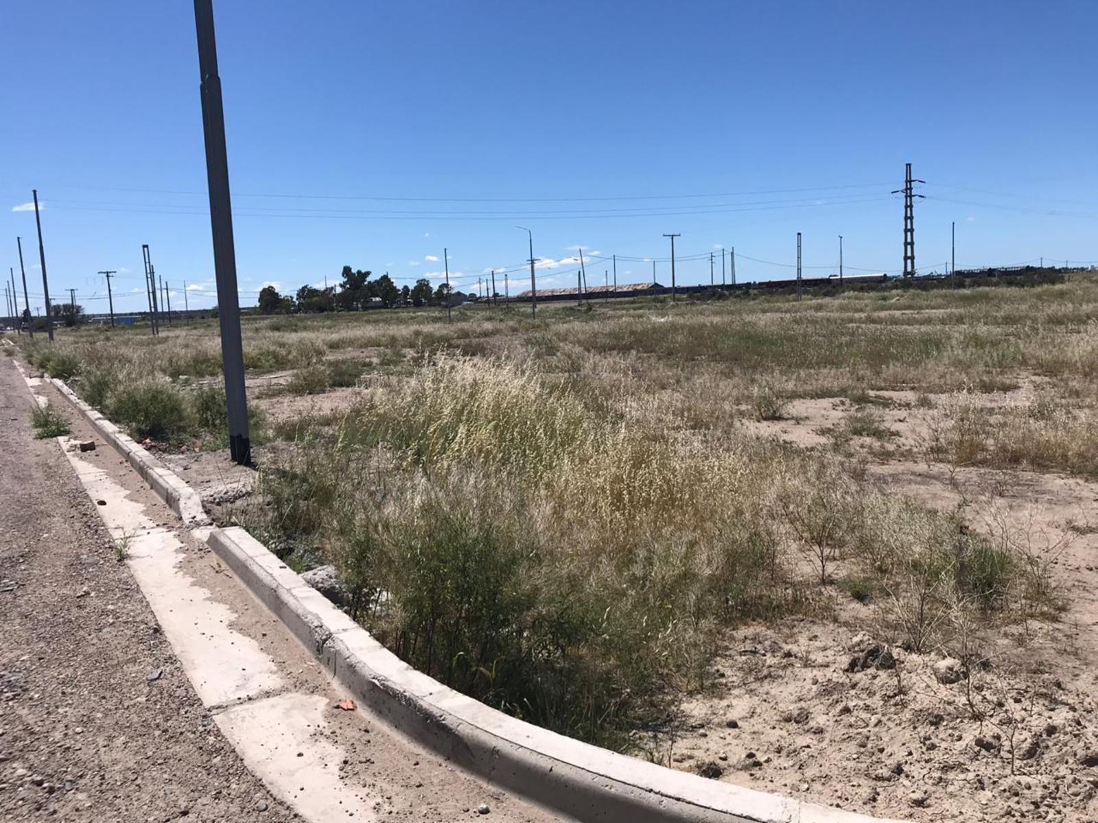 RUTA PROV 51 · Adolfo Alsina — foto 5
