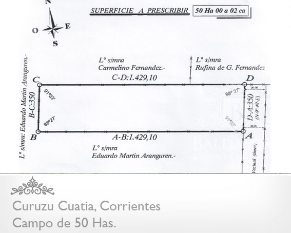 50 HECTÁREAS EN PARAJE AGUAY GRANDE - CURUZÚ CUATIA - CORRIENTES - ALAMBRADAS