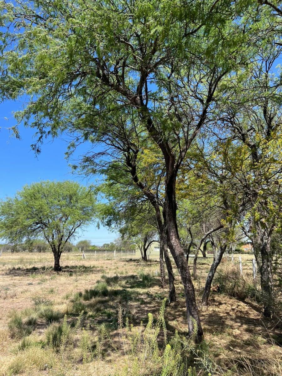 MERLO · Junín — foto 4