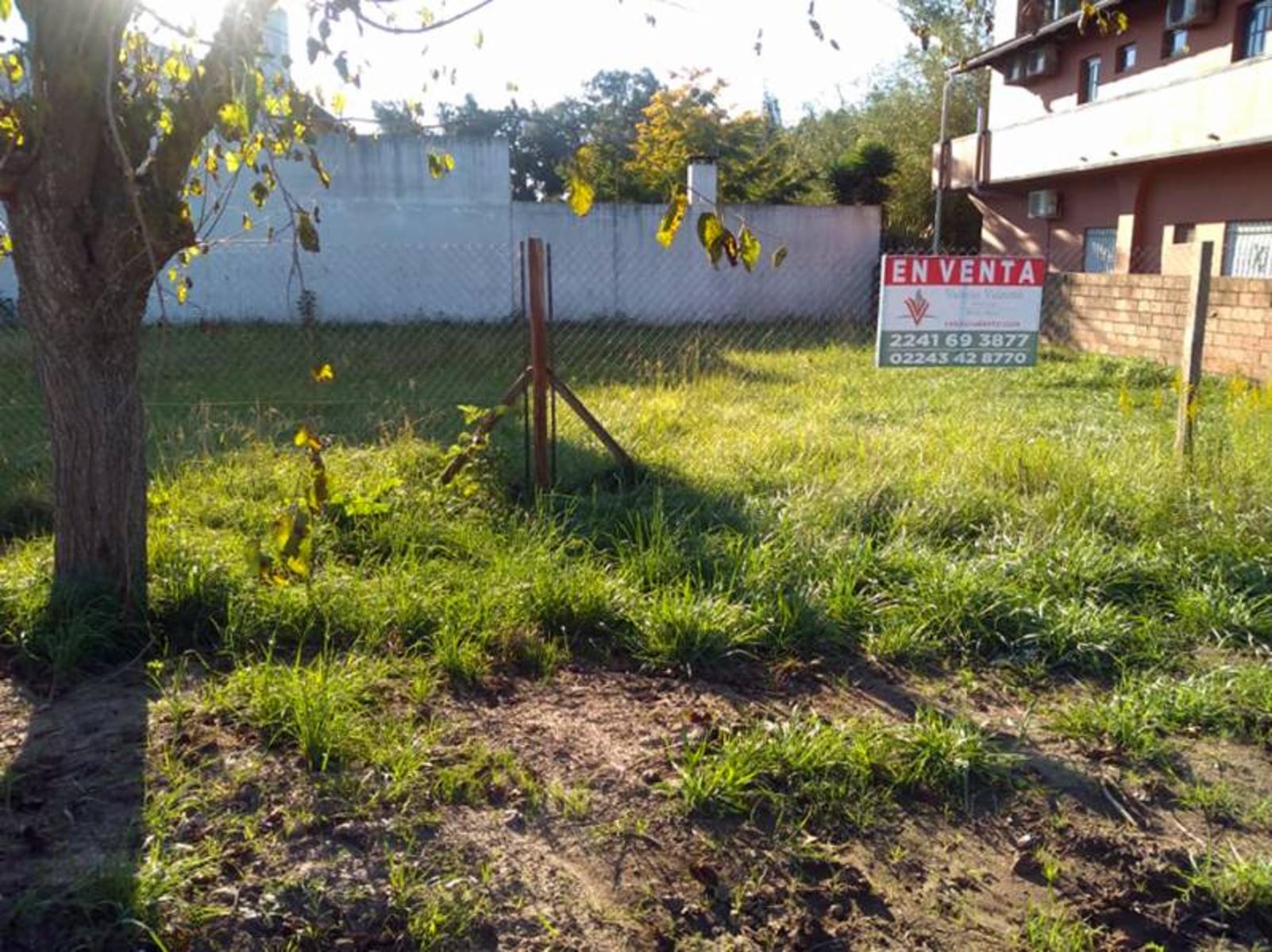 Calle 137 esquina 52 · General Belgrano — foto 3