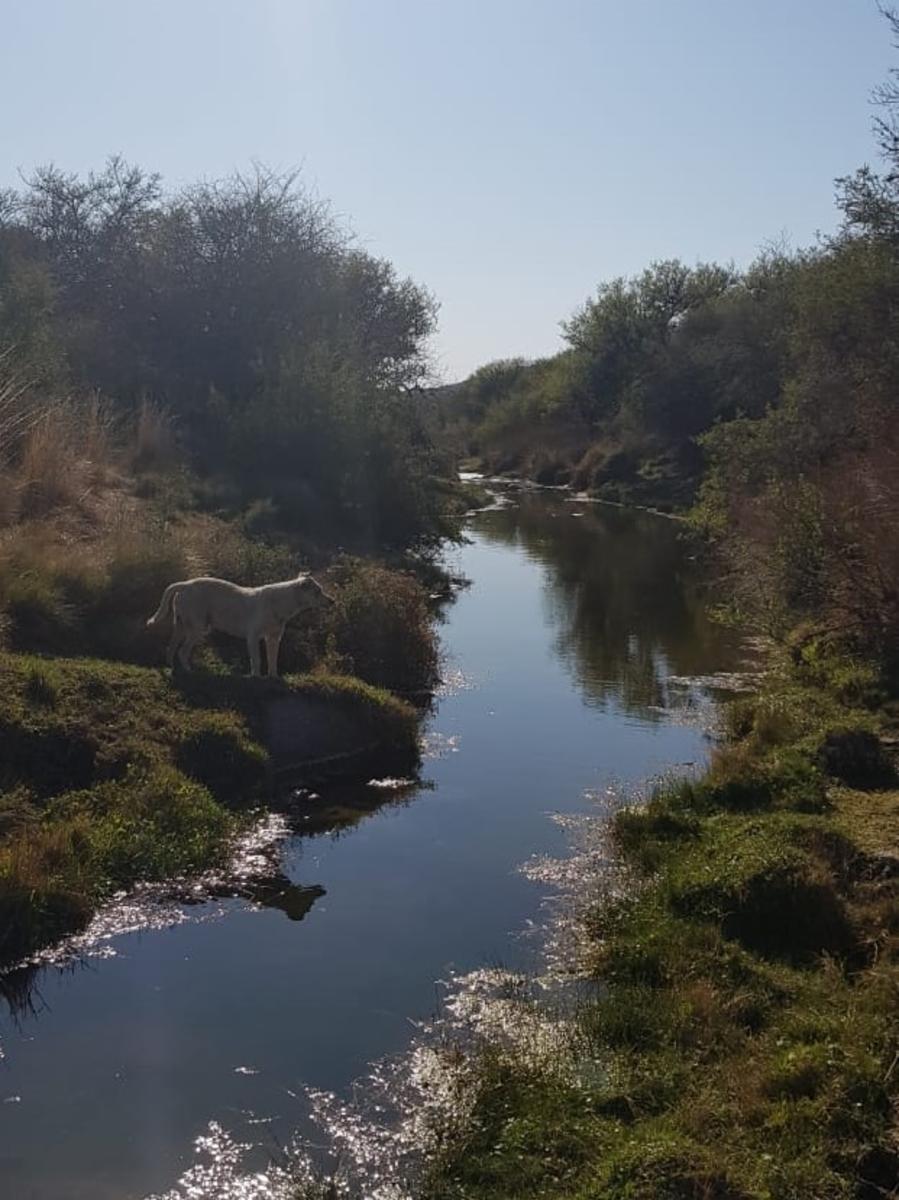 Ruta 6 · General San Martín — foto 10