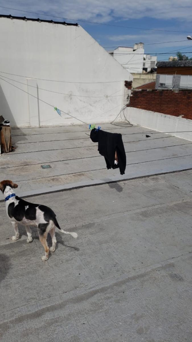 Belen 500 · La Matanza — foto 8