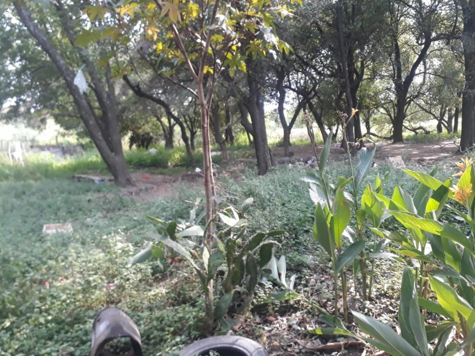 Dean funes · Río Segundo — foto 6