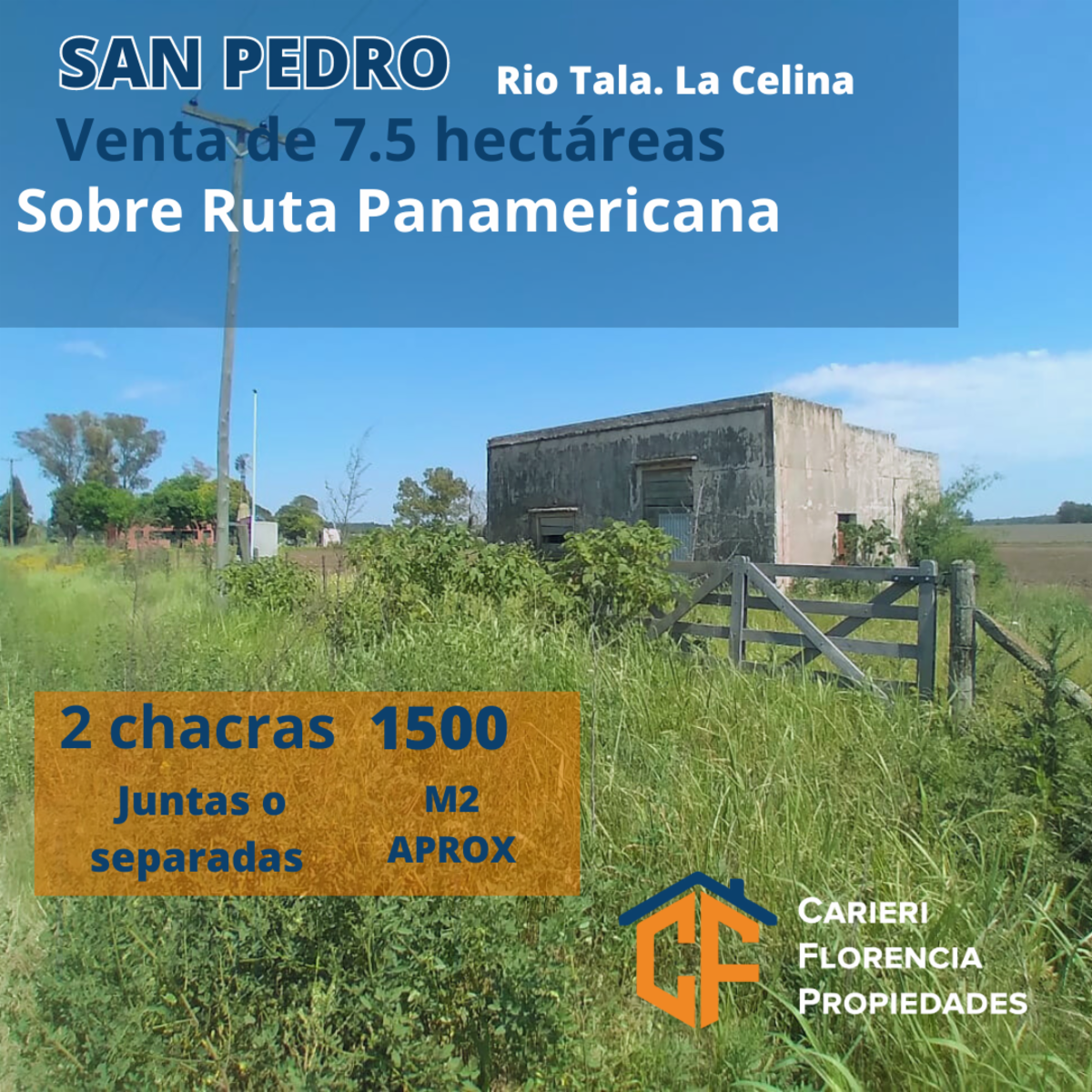 VENTA DE 2 CHACRAS EN SAN PEDRO.